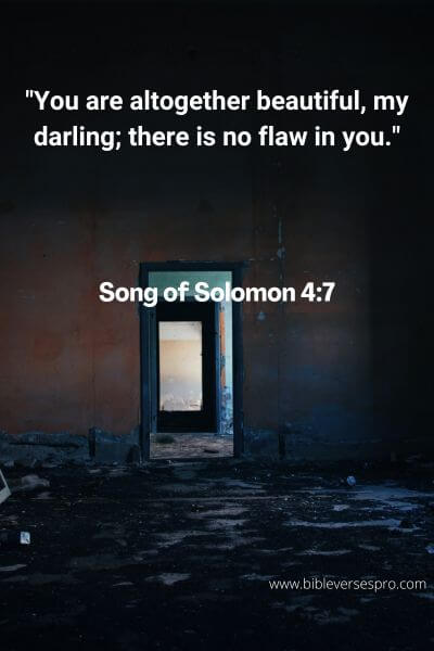 Song of Solomon 4:7