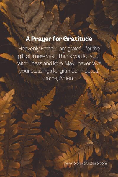 A Prayer For Gratitude