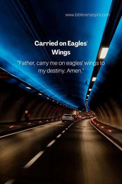 Carried On Eagles' Wings