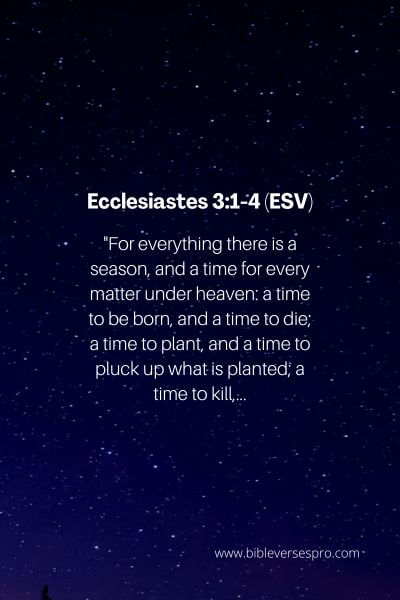 Ecclesiastes 3_1-4 (Esv)