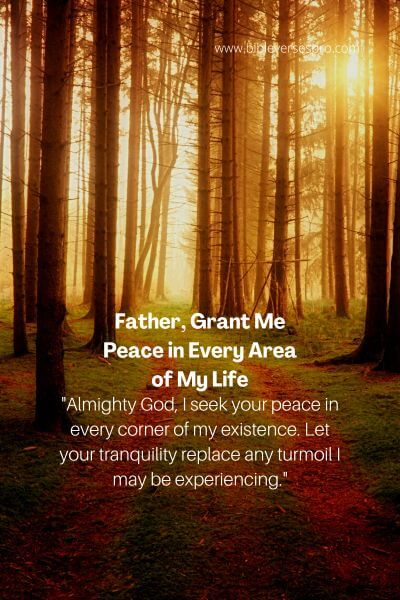 Father, Grant Me Peace In Every Area Of My Life