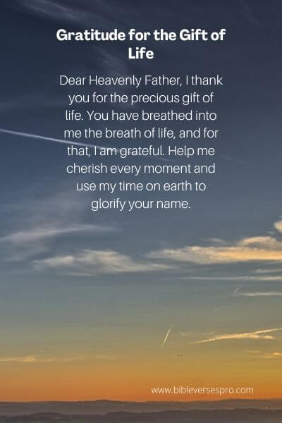 Gratitude for the Gift of Life