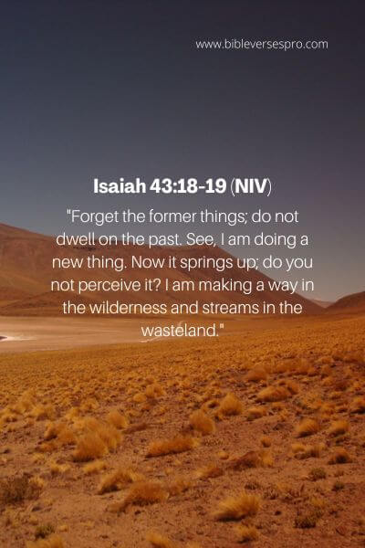 Isaiah 43_18-19 (NIV)