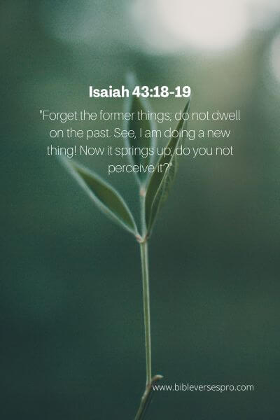 Isaiah 43_18-19