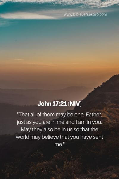 John 17_21 (NIV)