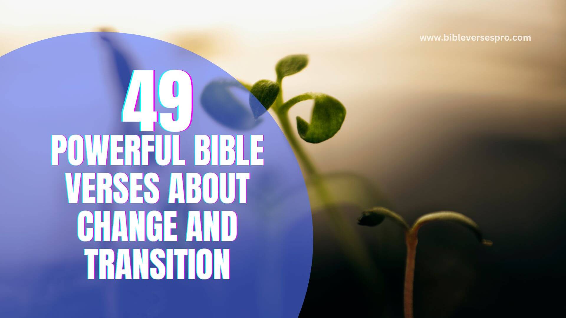 49 Powerful Bible Verses About Change And Transition Powerful Bible Verses About Change And Transition