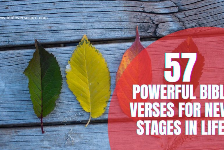 Powerful Bible Verses For New Stages In Life