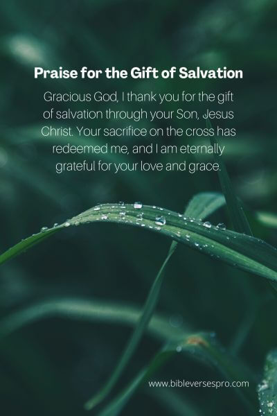 Praise for the Gift of Salvation