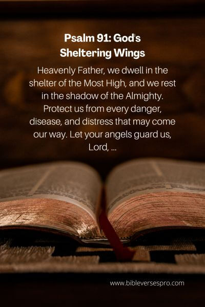 Psalm 91_ God's Sheltering Wings