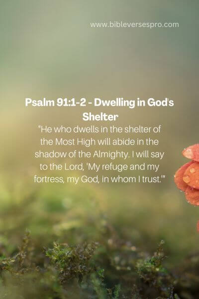Psalm 91_1-2 - Dwelling In God'S Shelter