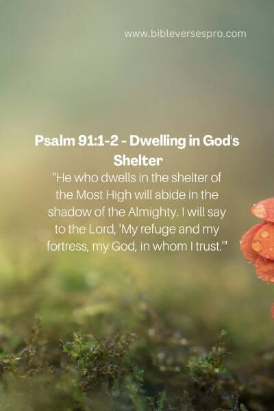 Psalm 91_1-2 - Dwelling in God's Shelter