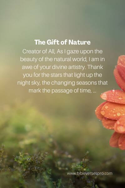 The Gift Of Nature