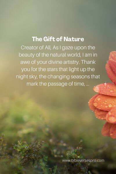 The Gift of Nature