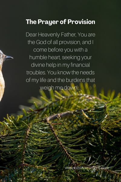 The Prayer of Provision