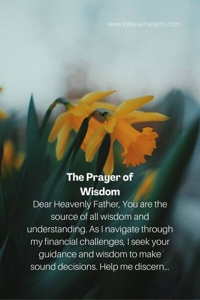 The Prayer of Wisdom