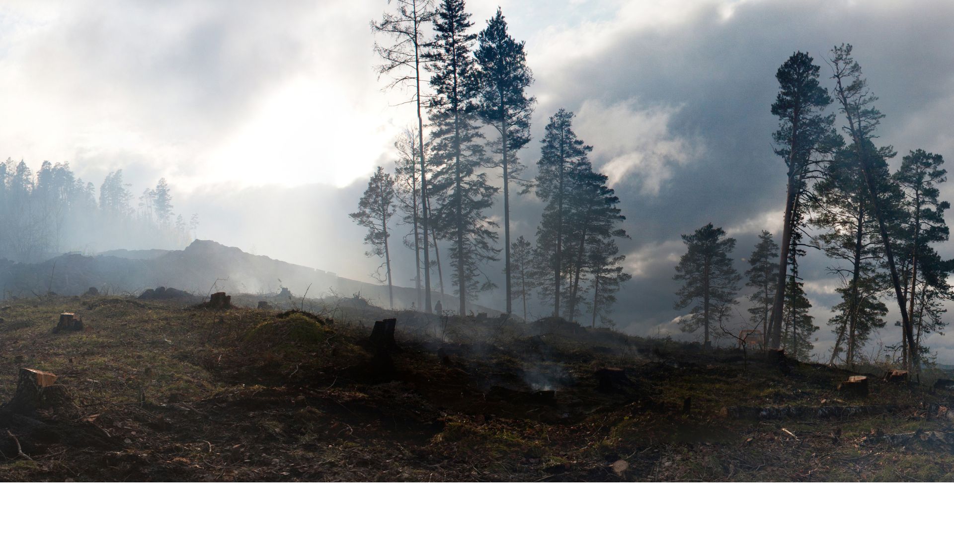 Zechariah In The Bible: Visions, Warnings, and Hope Zechariah In The Bible Visions, Warnings, and Hope