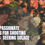 13 Compassionate Prayers for Shooting Victims: Seeking Solace